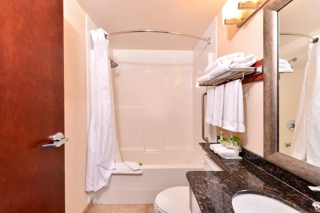 جناح بسرير كينج بغرفة نوم واحدة، Holiday Inn Express And Suites Edmonton North 4/4