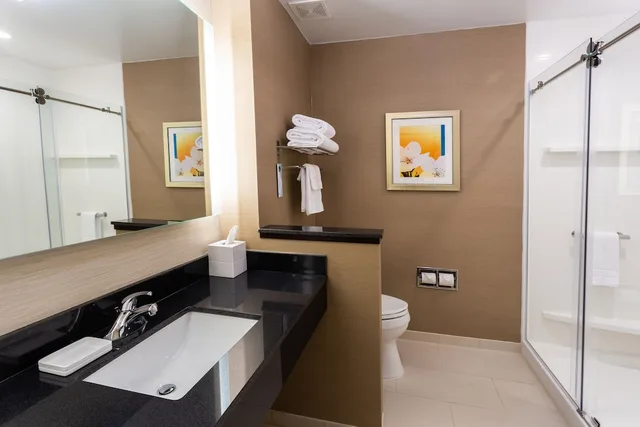 جناح بسرير كينج مع أريكة لذوي الإعاقة، Fairfield Inn And Suites By Marriott Bay City 2/2