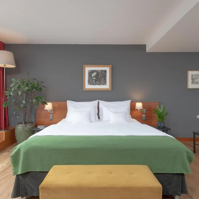 جناح جونيور بسرير كينج، Art Hotel Praha 2/7