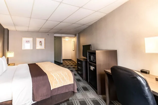 Courtyard, Standard, King Bed، Comfort Inn Ballston 3/8