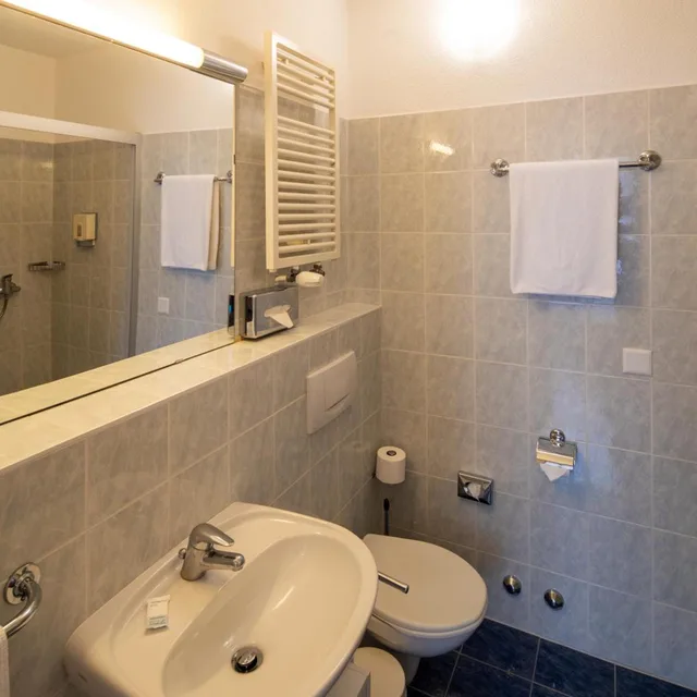 غرفة سوبيريور مفردة، Hotel Campione 5/15
