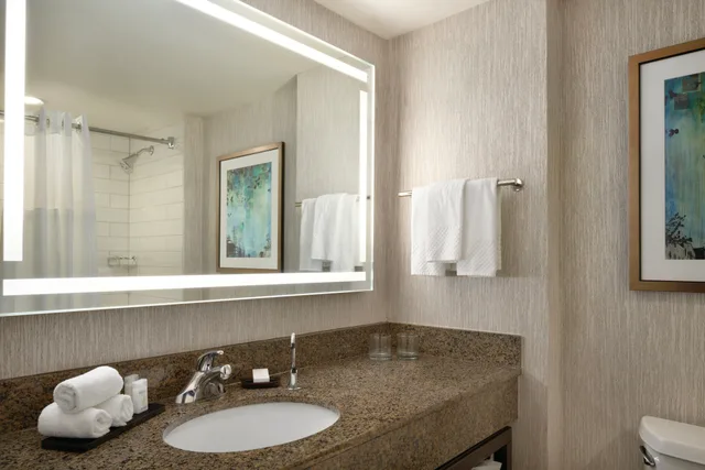 جناح بريميوم بسرير كينج، Embassy Suites by Hilton Atlanta at Centennial Olympic Park 3/3