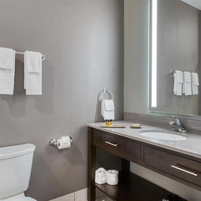 جناح بسرير كينج بمطبخ صغير، Best Western Plus Saint Peter 4/7