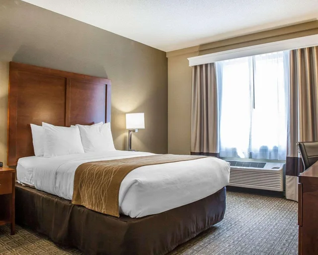 جناح بسرير كوين، Comfort Inn & Suites Sturbridge-Brimfield 1/2