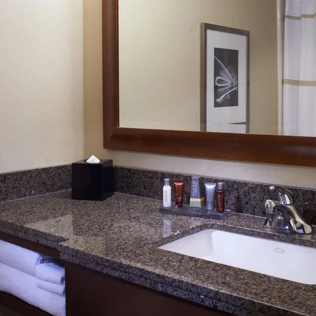 غرفة بسرير كينج بحوض استحمام لذوي الإعاقة، Marriott Detroit At the Renaissance Center 2/3
