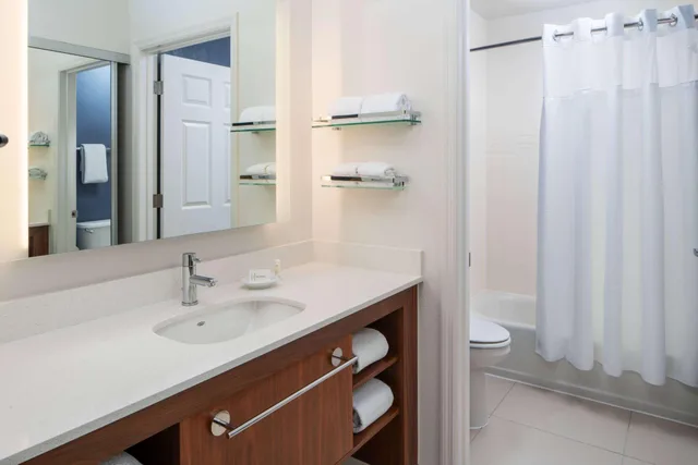 1 Bedroom, Suite, Queen Bed, Sonesta ES Suites New Orleans Convention Center 2/3