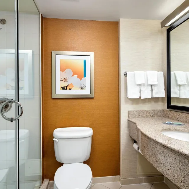 جناح استوديو تنفيذي بسرير كينج، Fairfield Inn And Suites Toronto Airport 5/6