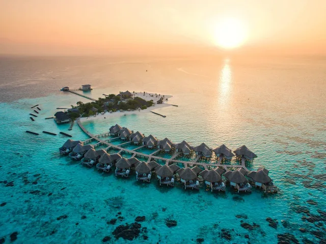 Drift Thelu Veliga Retreat، Male 38/50