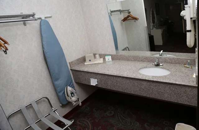 غرفة قياسية بسرير كينج، Magnuson Hotel Howell/Brighton 5/6
