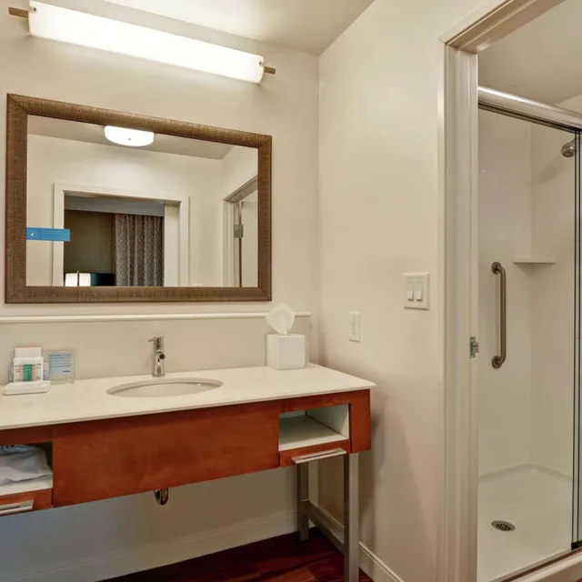 جناح استوديو بسرير كينج مع أريكة لذوي الإعاقة، Hampton Inn And Suites Charleston Airport 7/8
