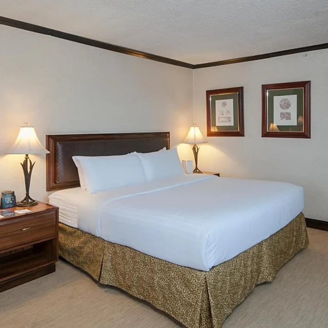 غرفة قياسية ركنية بسرير كينج بإطلالة على المدينة، Delta Hotels by Marriott San Jose Aurola 2/9