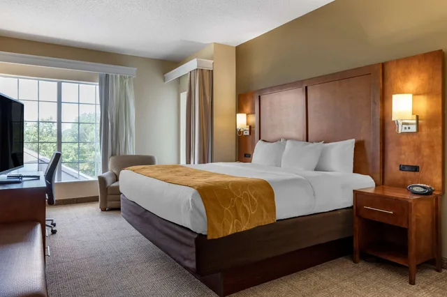 غرفة قياسية بسرير كينج، Comfort Suites Myrtle Beach Central 1/6