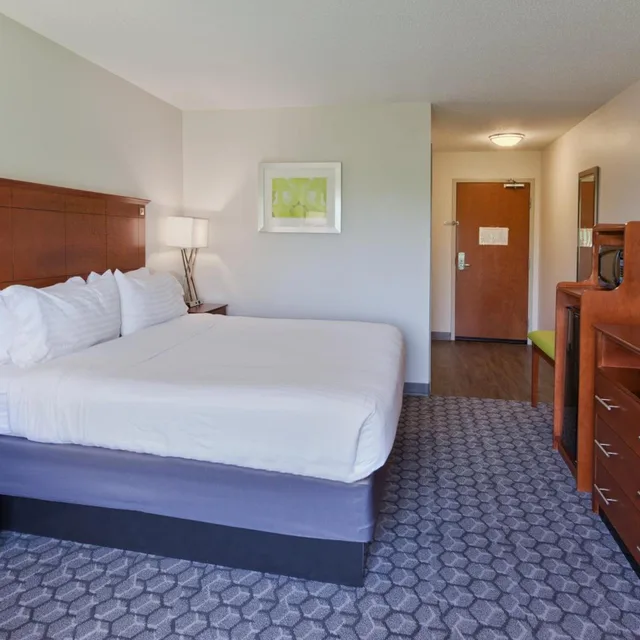 جناح استوديو بسرير كينج لذوي الإعاقة، Holiday Inn Express Hotel And Suites Phenix City Columbus 1/5