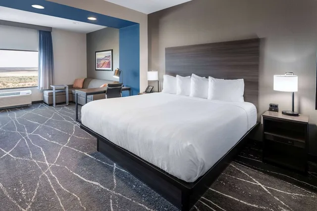 Deluxe, King Bed, La Quinta Inn and Suites by Wyndham Holbrook Petrified Forest 3/5