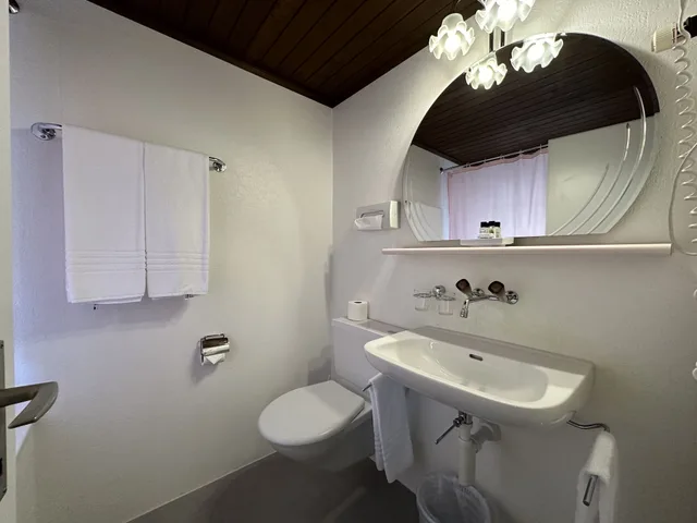 غرفة قياسية بسريرين منفصلين، Chalet Swiss Hotel 3/4
