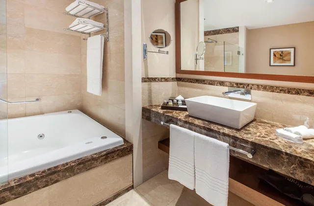 غرفة ديلوكس بسرير مزدوج بإطلالة على النهر، Wyndham Nordelta Tigre Buenos Aires 4/4