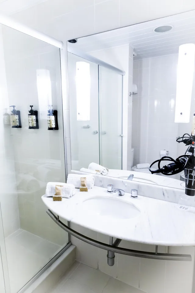 Executive, Double Bed, Street View، Novotel Porto Alegre Tres Figueiras 3/3