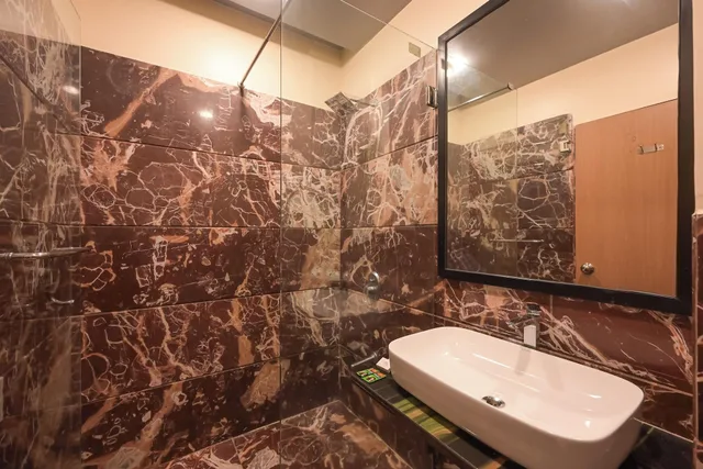 غرفة ديلوكس، Hotel Aristro 8/8