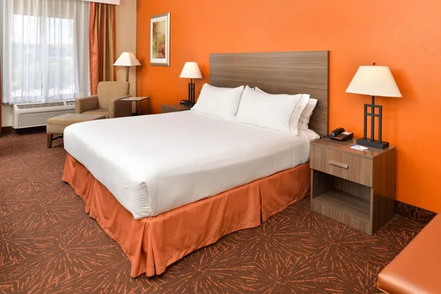 غرفة قياسية بسرير فردي، Holiday Inn Express Hotel And Suites Chattanooga At Lookout Mtn Tn 8/10