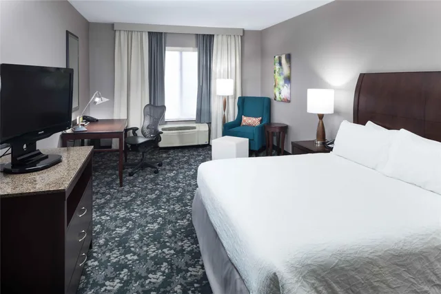 غرفة بريميوم بسرير كينج، Hilton Garden Inn Detroit Novi 1/3