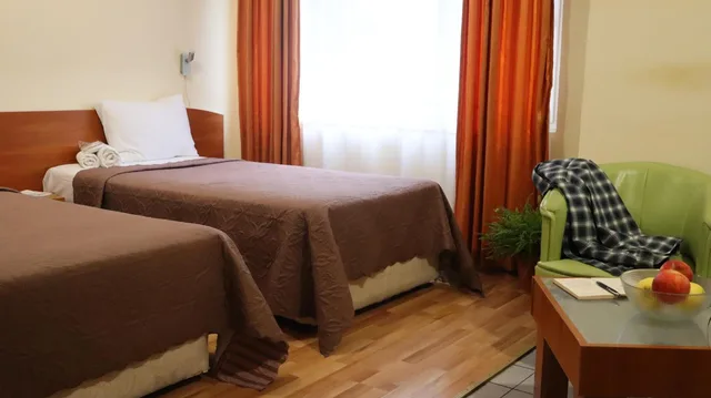 غرفة ديلوكس بسريرين منفصلين، Palitra Family Hotel 4/9
