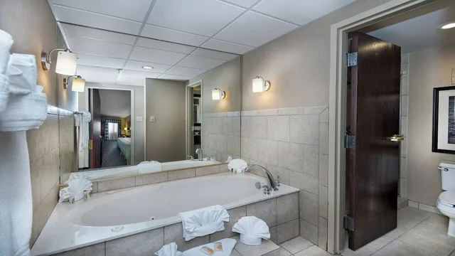 1 Bedroom, Suite, Single Bed, Sofa, Holiday Inn Springdale/Fayetteville Area 7/7