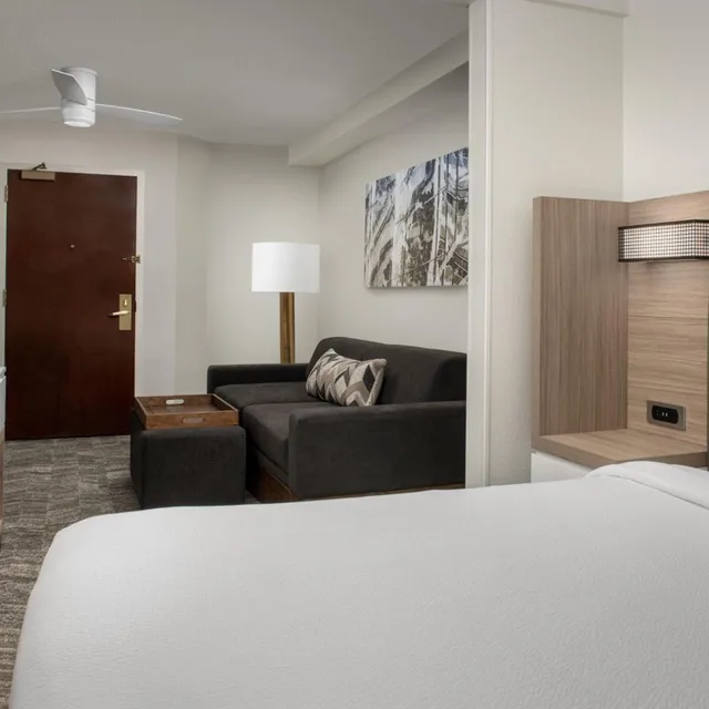 Pure, Wellness, Guest Room, King Bed, Sofa، Springhill Suites Atlanta Buford Mall of Georgia 5/10