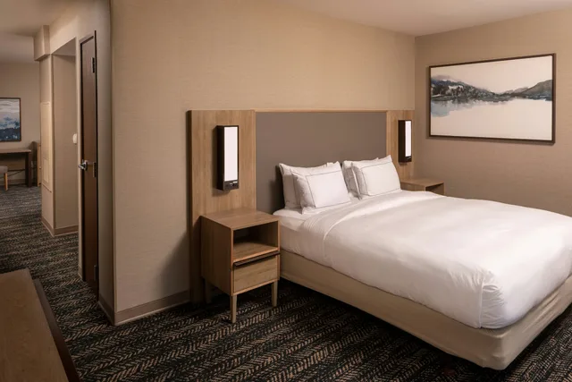 جناح بسرير كينج لذوي الإعاقة، Hilton Asheville Biltmore Park 2/3