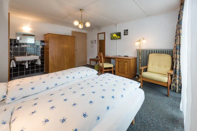 Room, Double Bed, Partial Mountain View, Balcony or Terrace، Hotel Rhodania 5/10
