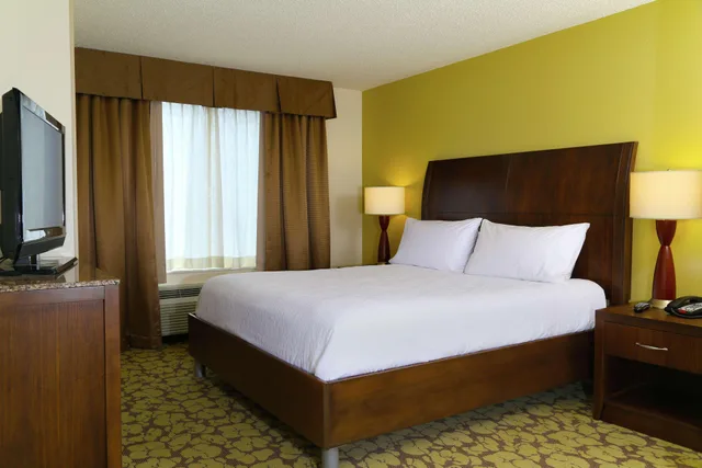 غرفة بسرير كينج مع أريكة لذوي الإعاقة، Hilton Garden Inn Tampa East Brandon 1/2