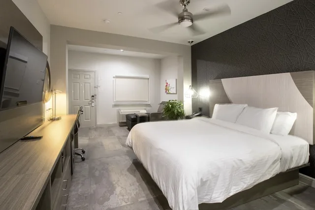 غرفة فاخرة مفردة بسرير كينج للمدخنين، House Hotel 1/6
