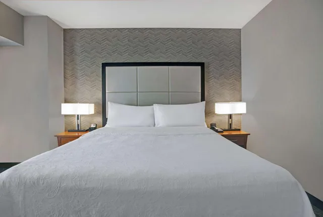 جناح بسرير كينج بغرفة نوم واحدة مع أريكة، Homewood Suites By Hilton Chicago Lincolnshire 4/7
