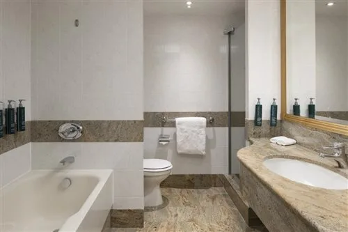 غرفة مفردة، Hilton Paris Charles De Gaulle Airport 1/1