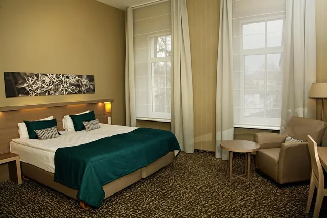 غرفة ديلوكس بسرير مزدوج، City Hotels Algirdas 1/8