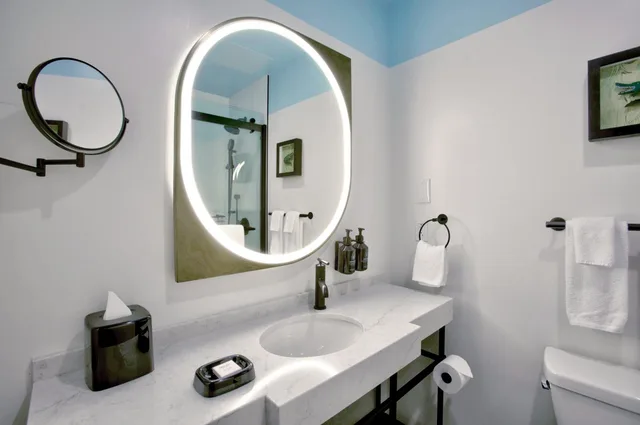 Suite, King Bed, Hotel Indigo New Orleans French Quarter 5/5