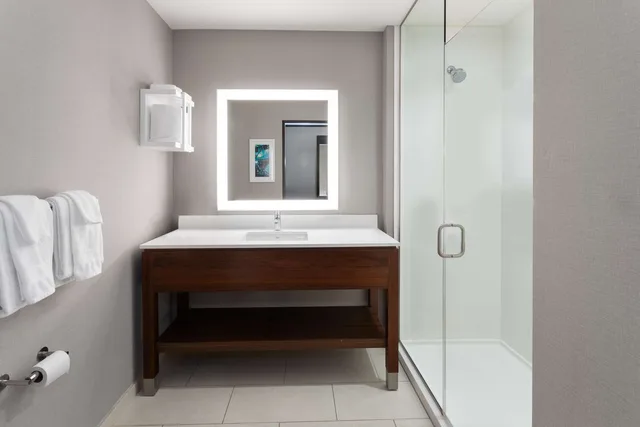 غرفة بسرير كينج بحوض استحمام لذوي الإعاقة، Hampton Inn By Hilton Nashville Airport Century Place 4/5