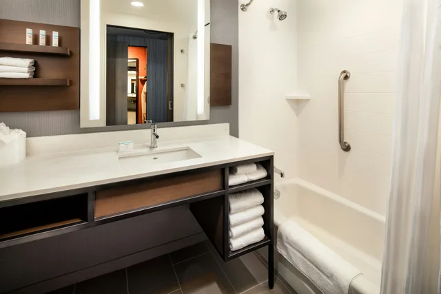 Room, King Bed, Bathtub, Accessible, Hilton Garden Inn Sacramento Airport Natomas 4/4