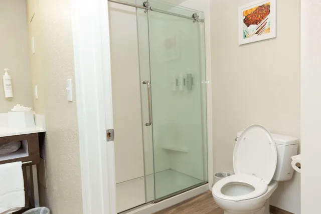 جناح بسرير كينج بغرفة نوم واحدة مع أريكة، Hampton Inn Hammond 1/1