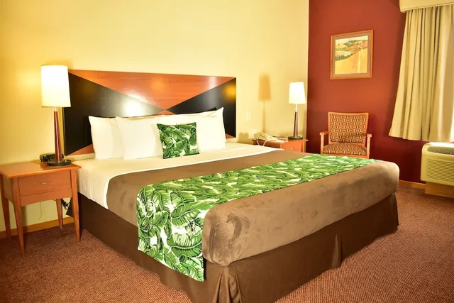 غرفة قياسية بسرير كينج لذوي الإعاقة، Sleep Inn Hotel Paseo Las Damas 3/5