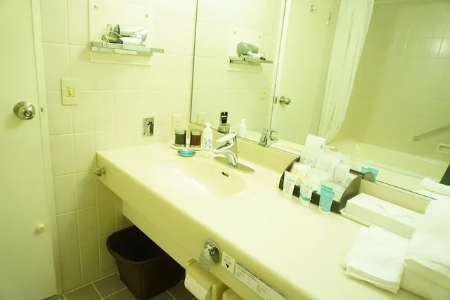 غرفة سوبيريور بسرير كينج، Hotel Nikko Fukuoka 3/4