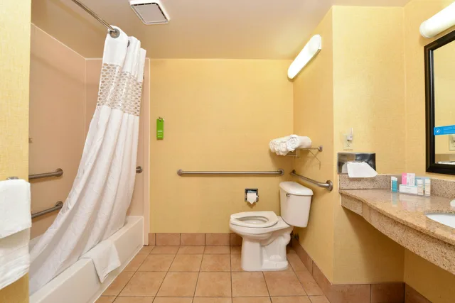 Room, King Bed, Accessible, Hampton Inn & Suites Springboro/Dayton Area South 4/4