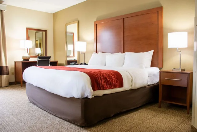 غرفة بسرير كينج لذوي الإعاقة، Comfort Inn Dickson, TN 1/4