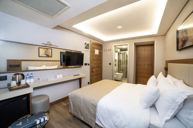 غرفة قياسية بسرير مزدوج أو سريرين منفصلين، Erboy Hotel Istanbul 6/10