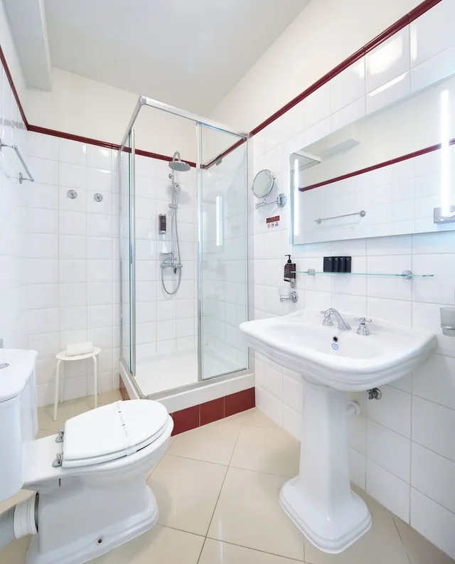 غرفة قياسية بسرير مزدوج أو سريرين منفصلين، Hotel Bologna 7/8