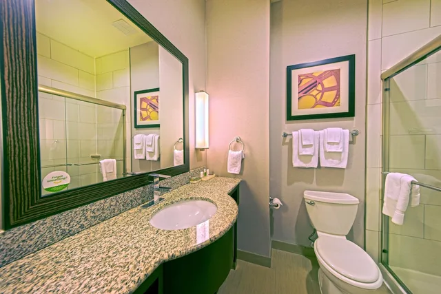 غرفة قياسية بسرير فردي، Holiday Inn & Suites Houston West - Westway Park, an IHG Hotel 9/9