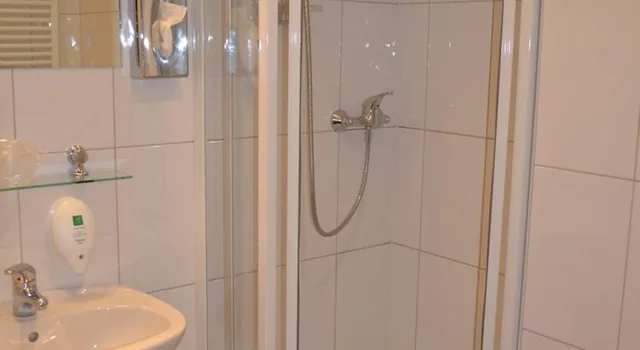 غرفة بسريرين منفصلين، Plaza Inn Salzburg City 5/5