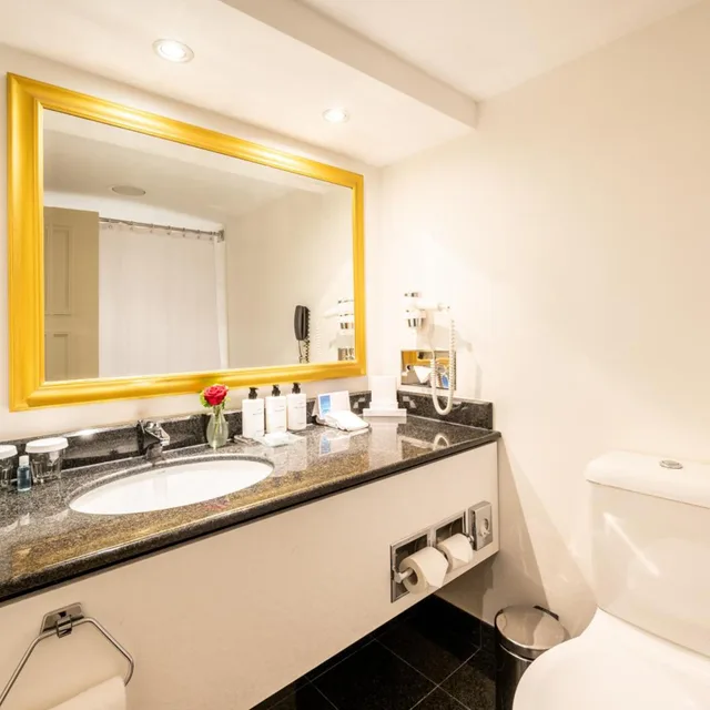 غرفة كلوب كلاسيكية بسرير كينج، Intercontinental Vienna Hotel 6/6