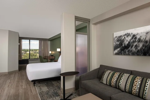 غرفة بسرير كينج لذوي الإعاقة، Hyatt Place Denver-South/Park Meadows 3/5