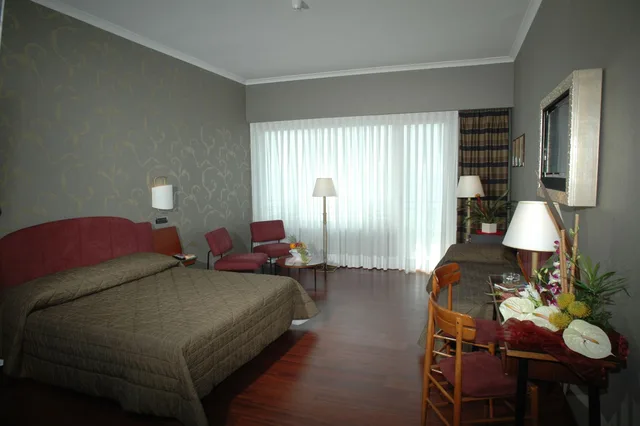 Superior, Single, Double Bed, Reginna Palace 4/8
