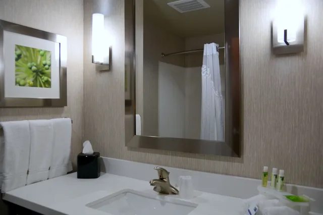 جناح بسرير كينج بحوض استحمام لذوي الإعاقة، Holiday Inn Express & Suites Houston Nw - Tomball Area 5/5